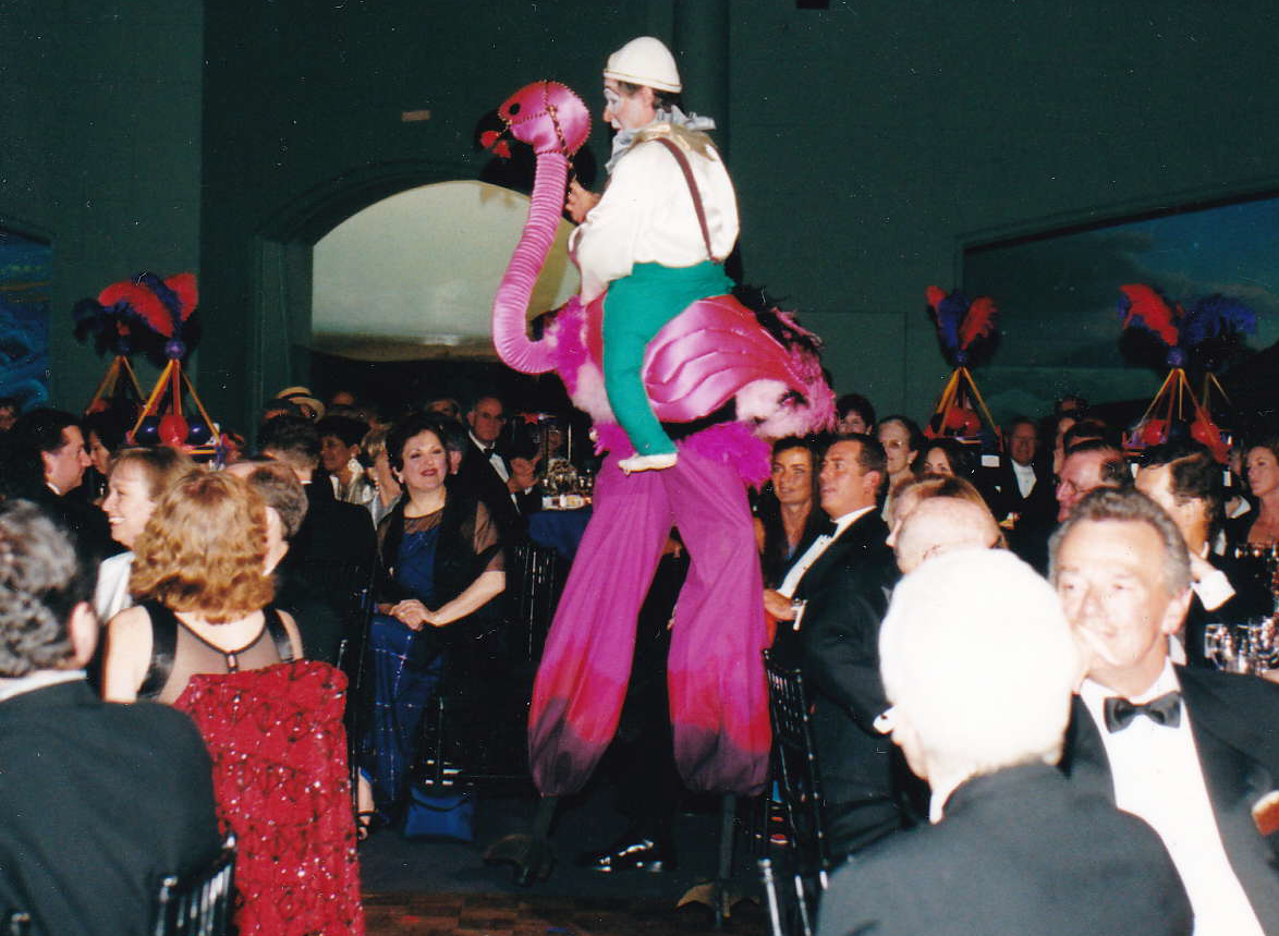 Stilt Flamingo Stilt Flamingo